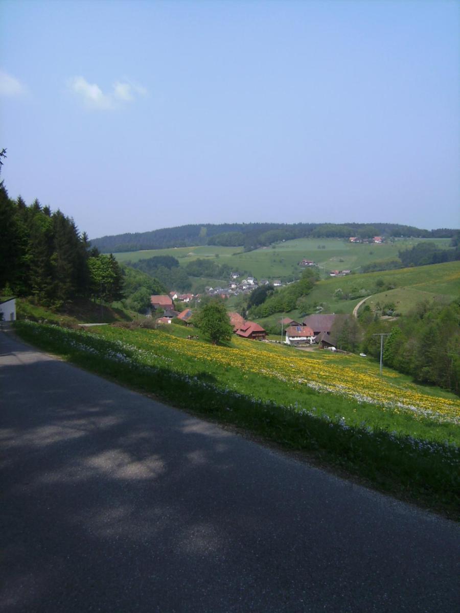 Gasthof Krone Schuttertal Luaran gambar
